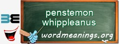 WordMeaning blackboard for penstemon whippleanus